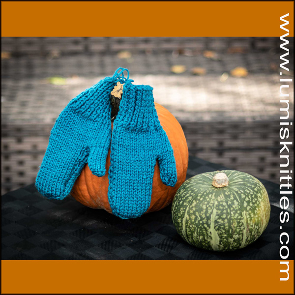 Teal Wool Mitts