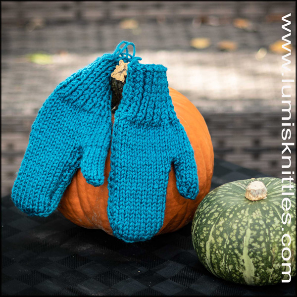 Teal Wool Mitts