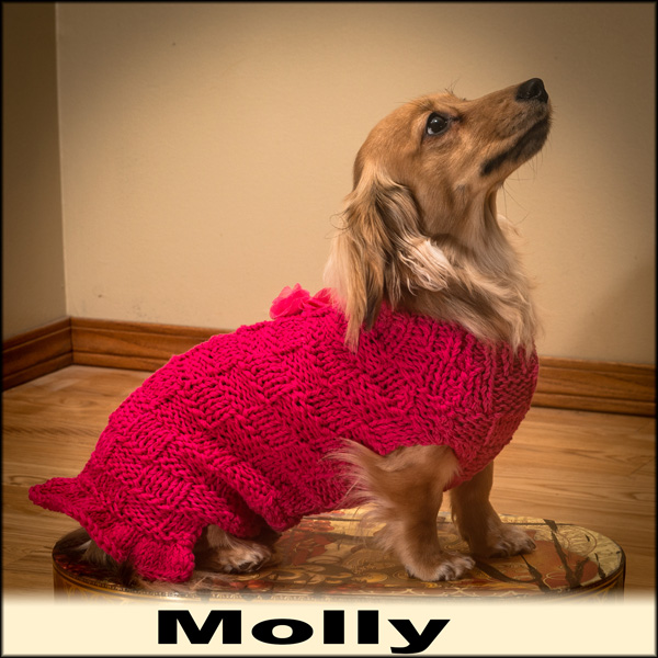 Doxie sweater hot sale